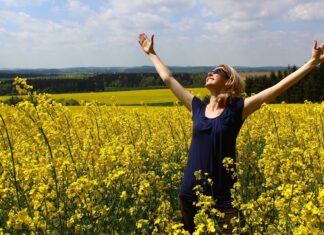 105 schöne Wertschätzung Sprüche und Dankbarkeit Zitate Dankbarkeit Zitate