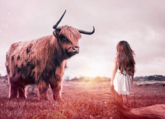 Diese 346 Mut und Kraft gebende Sprüche werden dich stärken! Mut Kraft gebende Sprüche