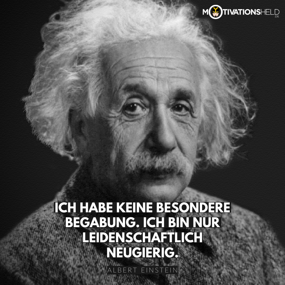 einstein zitat intelligenz