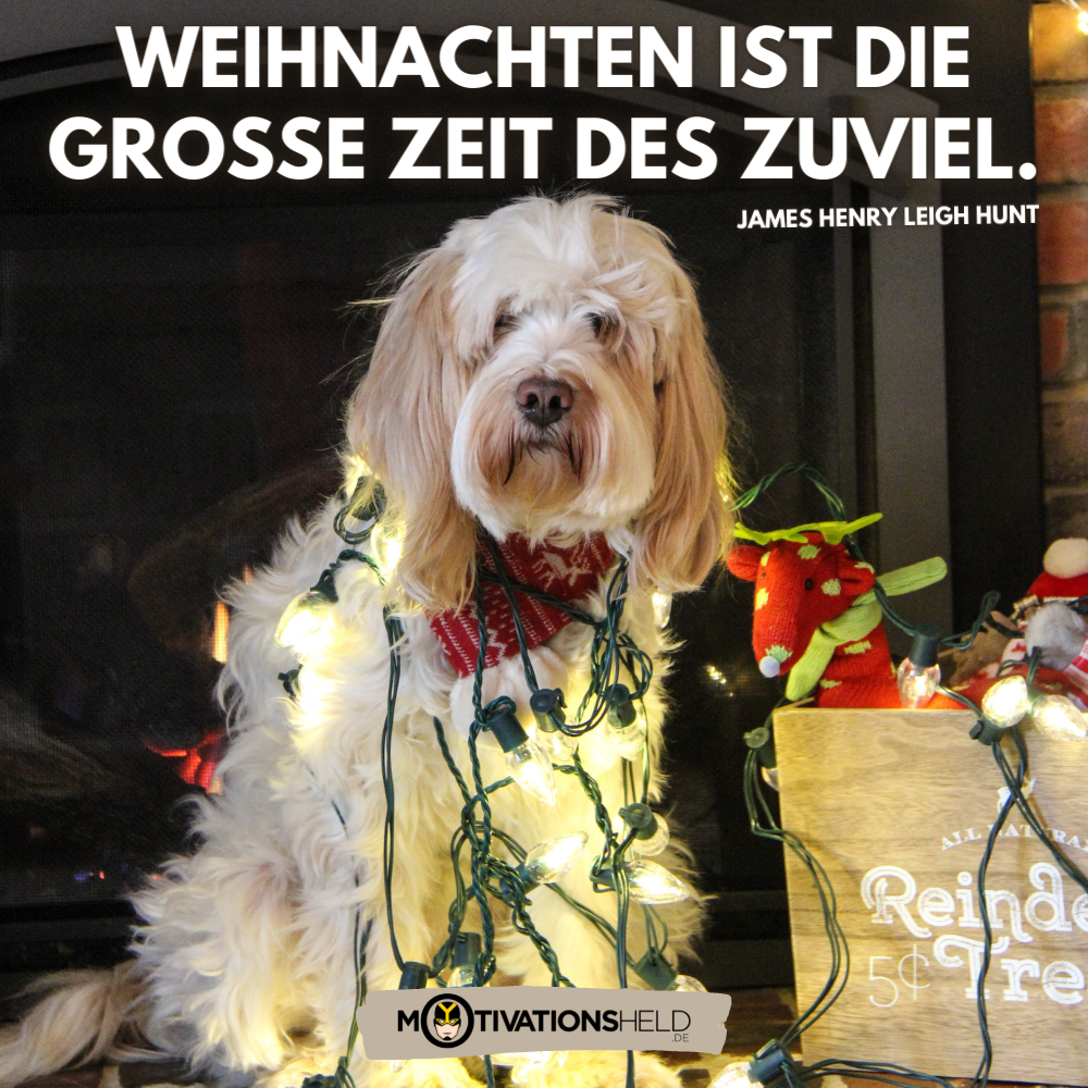 Lustige Weihnachtssprüche zum Lachen